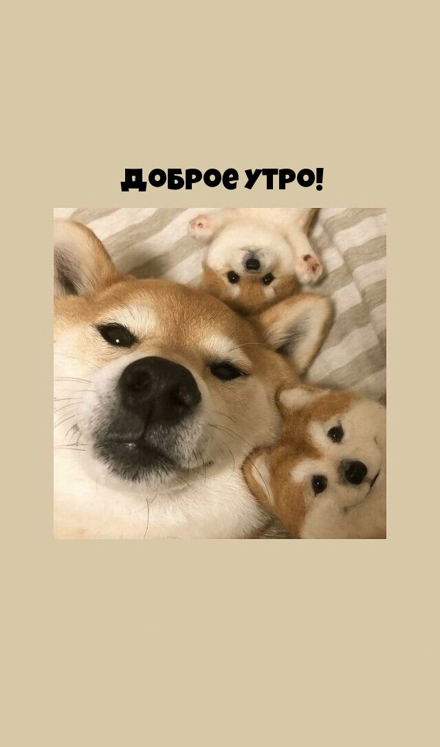 Доброе утро!