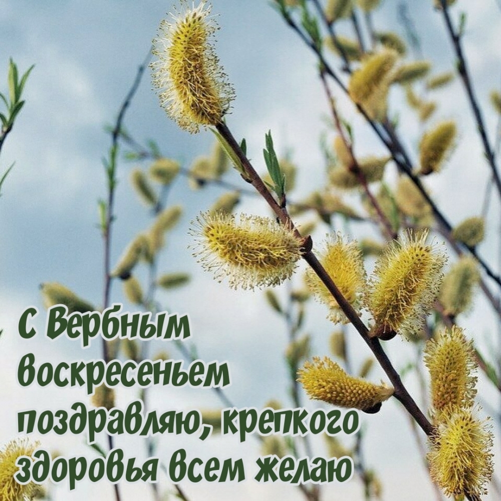 С Вербным воскресеньем поздравляю