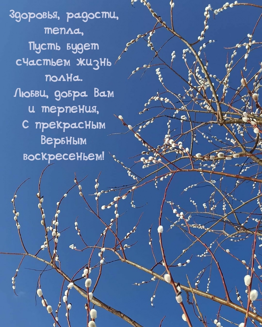 С прекрасным Вербным воскресеньем!