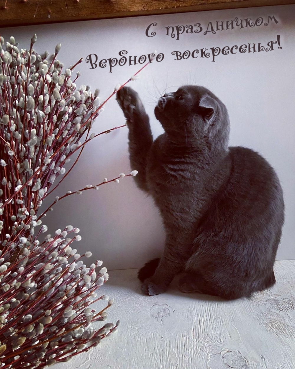 С праздничком Вербного воскресенья!