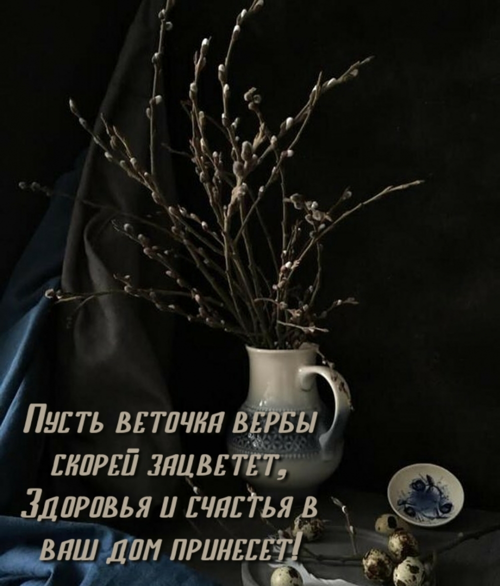 Пусть веточка вербы скорей зацветет