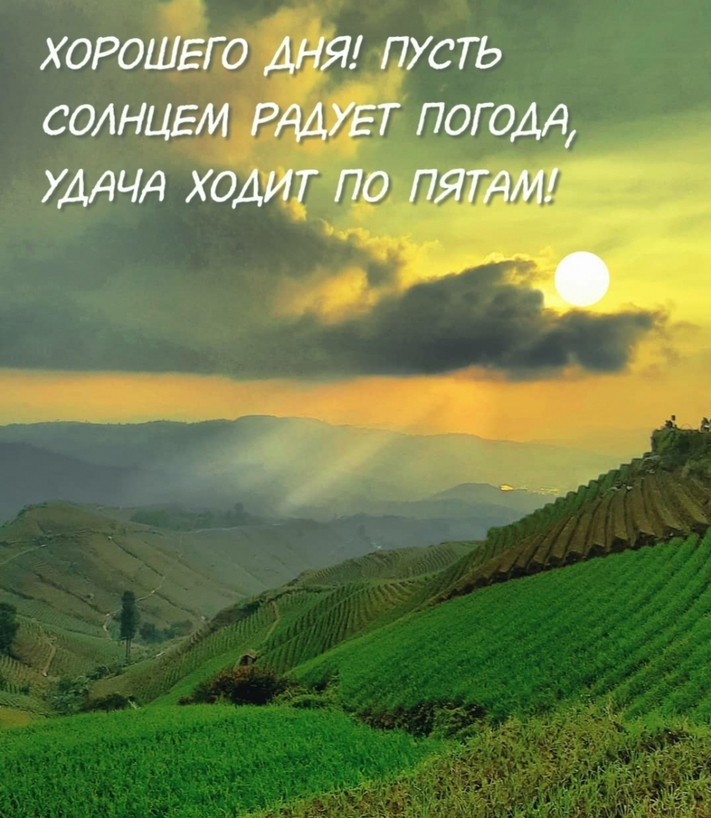 Хорошего дня! Пусть солнцем радует погода