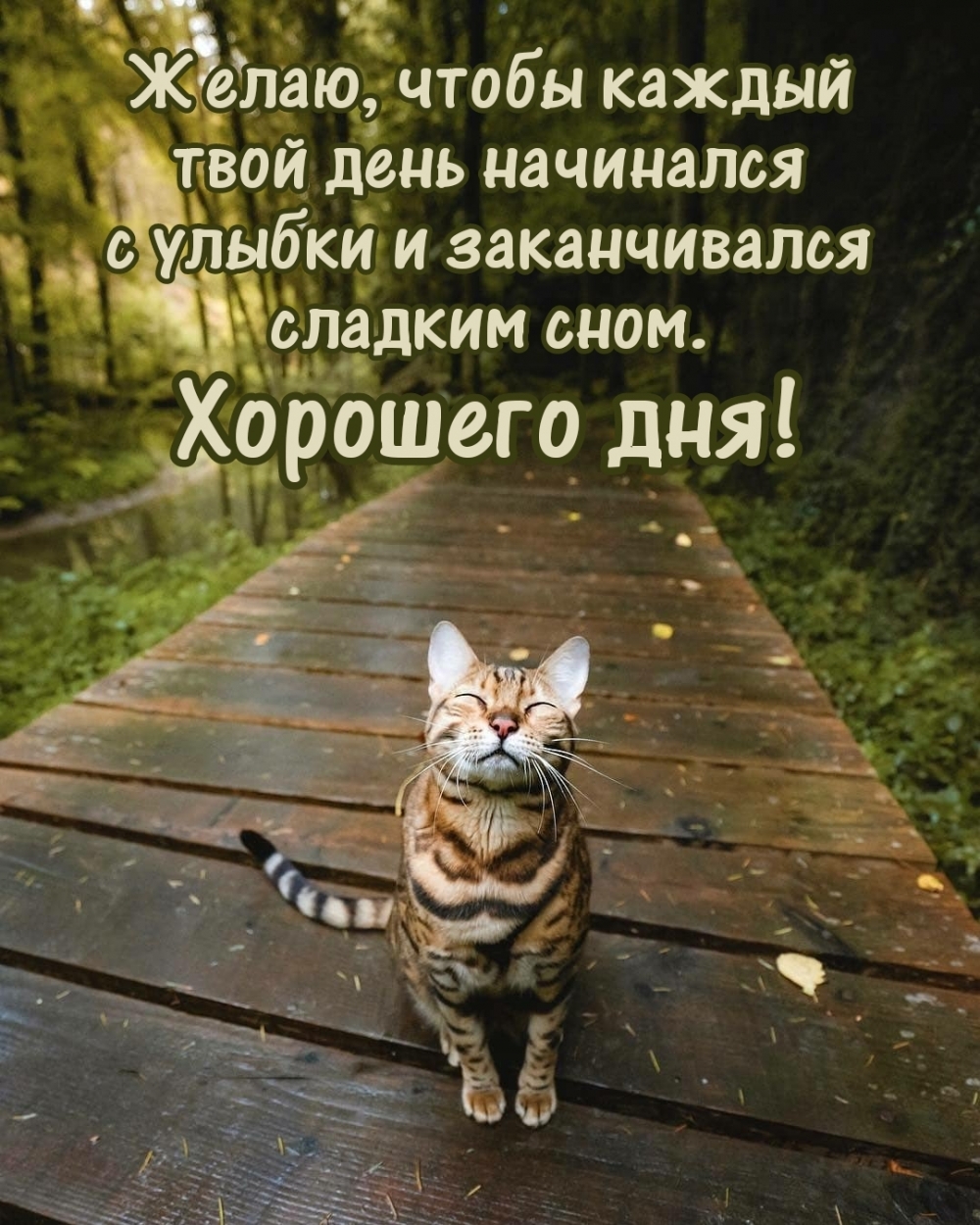 Хорошего дня! Желаю, чтобы каждый твой день начинался с улыбки