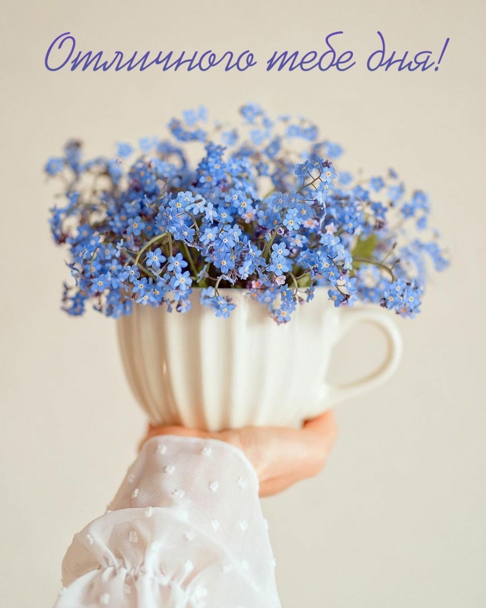 Отличного тебе дня!