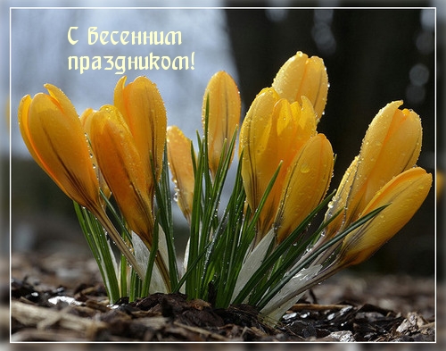 С весенним праздником!