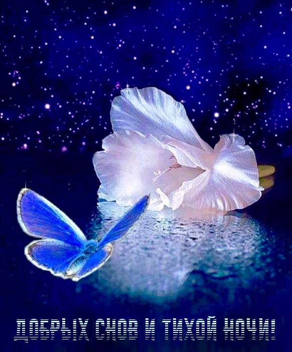 Добрых снов и тихой ночи!