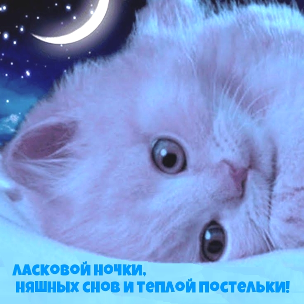 Ласковой ночки, няшных снов и теплой постельки!