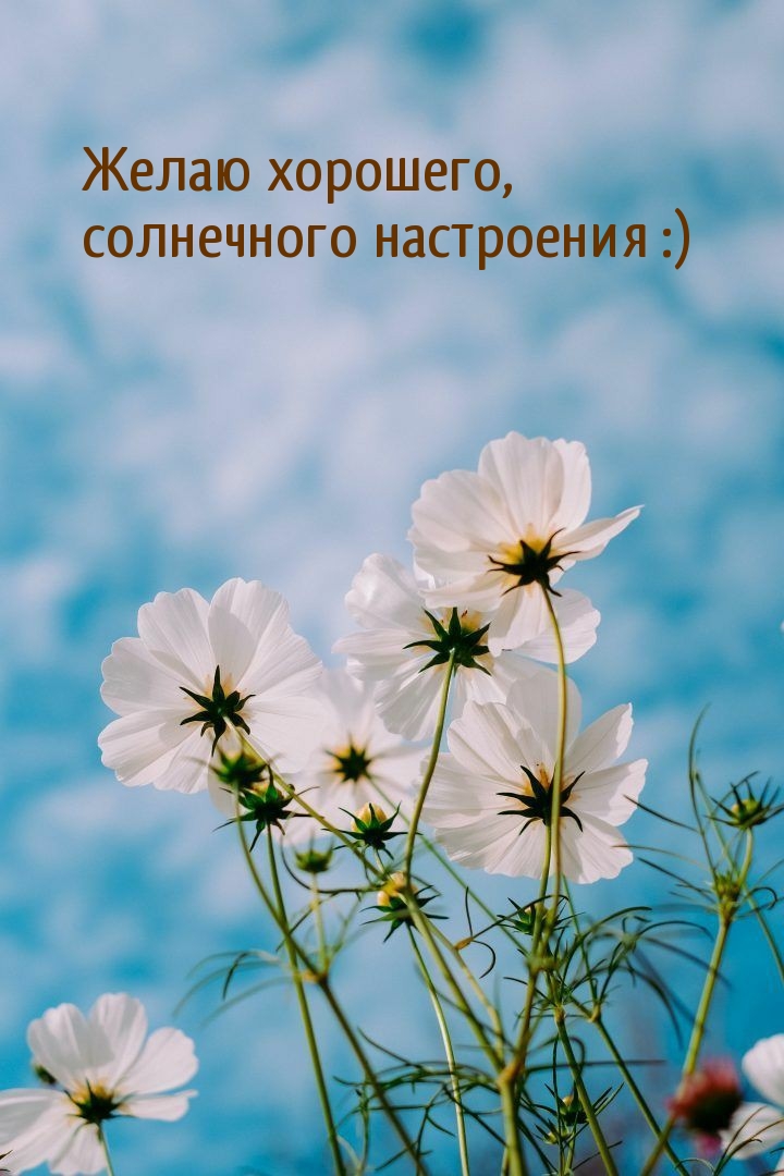 Желаю хорошего, солнечного настроения :)