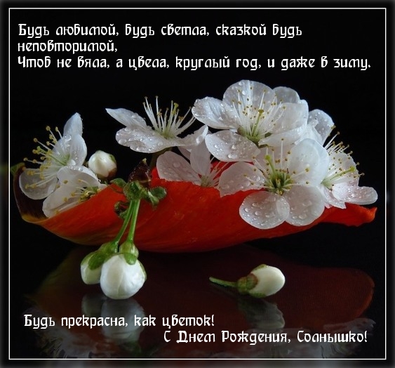 Будь прекрасна, как цветок! С днем рождения, солнышко!