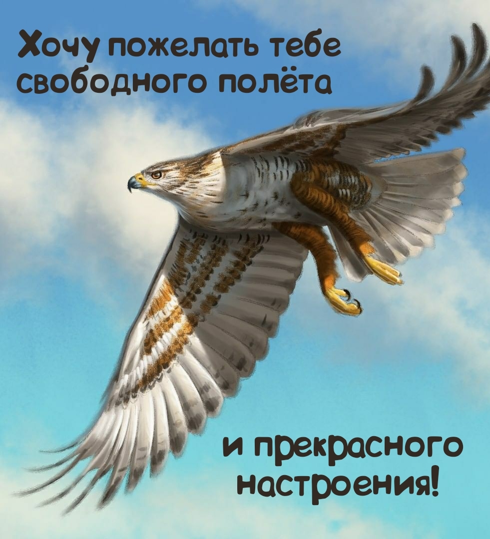 Хочу пожелать тебе свободного полёта и прекрасного настроения!