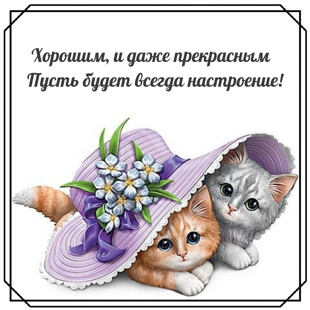 Хорошим, и даже прекрасным пусть будет всегда настроение!