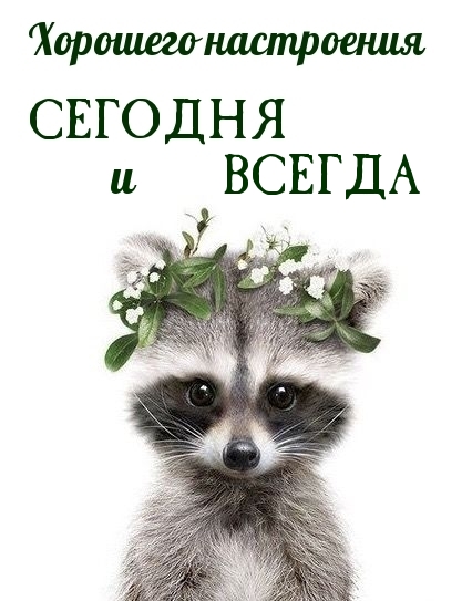 Хорошего настроения сегодня и всегда