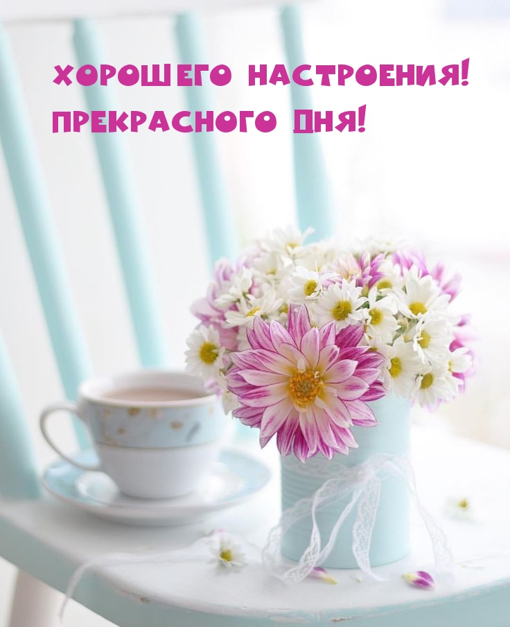 Хорошего настроения! Прекрасного дня!