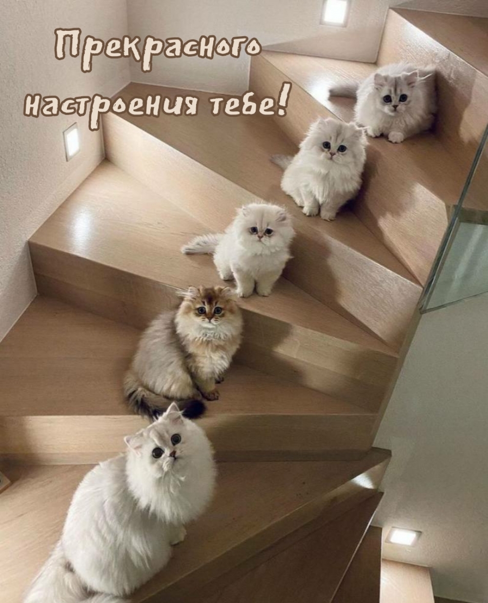Прекрасного настроения тебе!