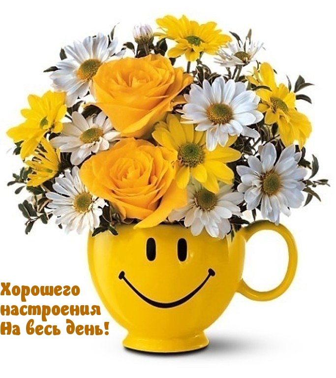 Хорошего настроения на весь день!