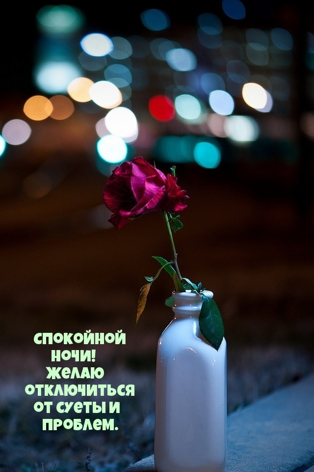 Спокойной ночи! Желаю отключится от суеты и проблем.