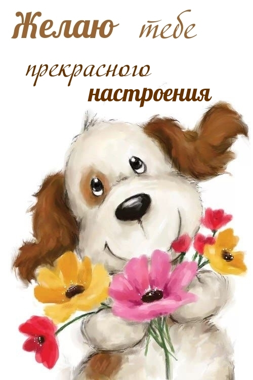 Желаю тебе прекрасного настроения