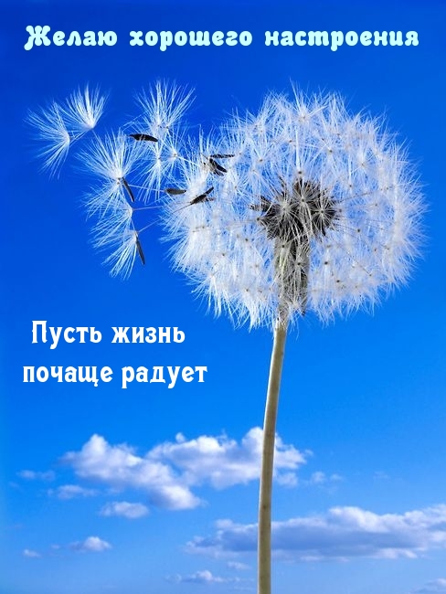 Пусть жизнь почаще радует желаю хорошего настроения