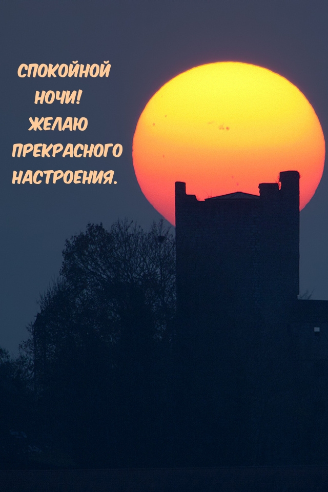 Спокойной ночи! Желаю прекрасного настроения.