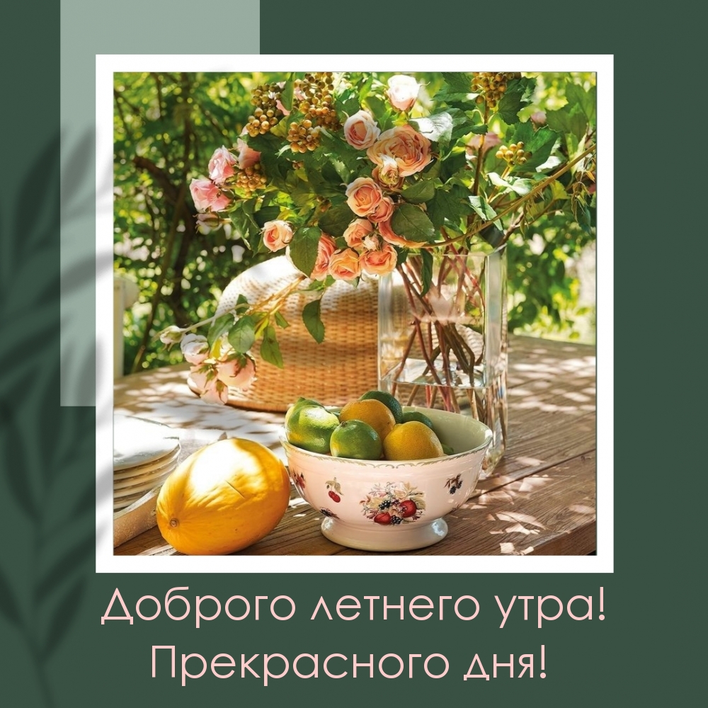 Доброго летнего утра! Прекрасного дня!