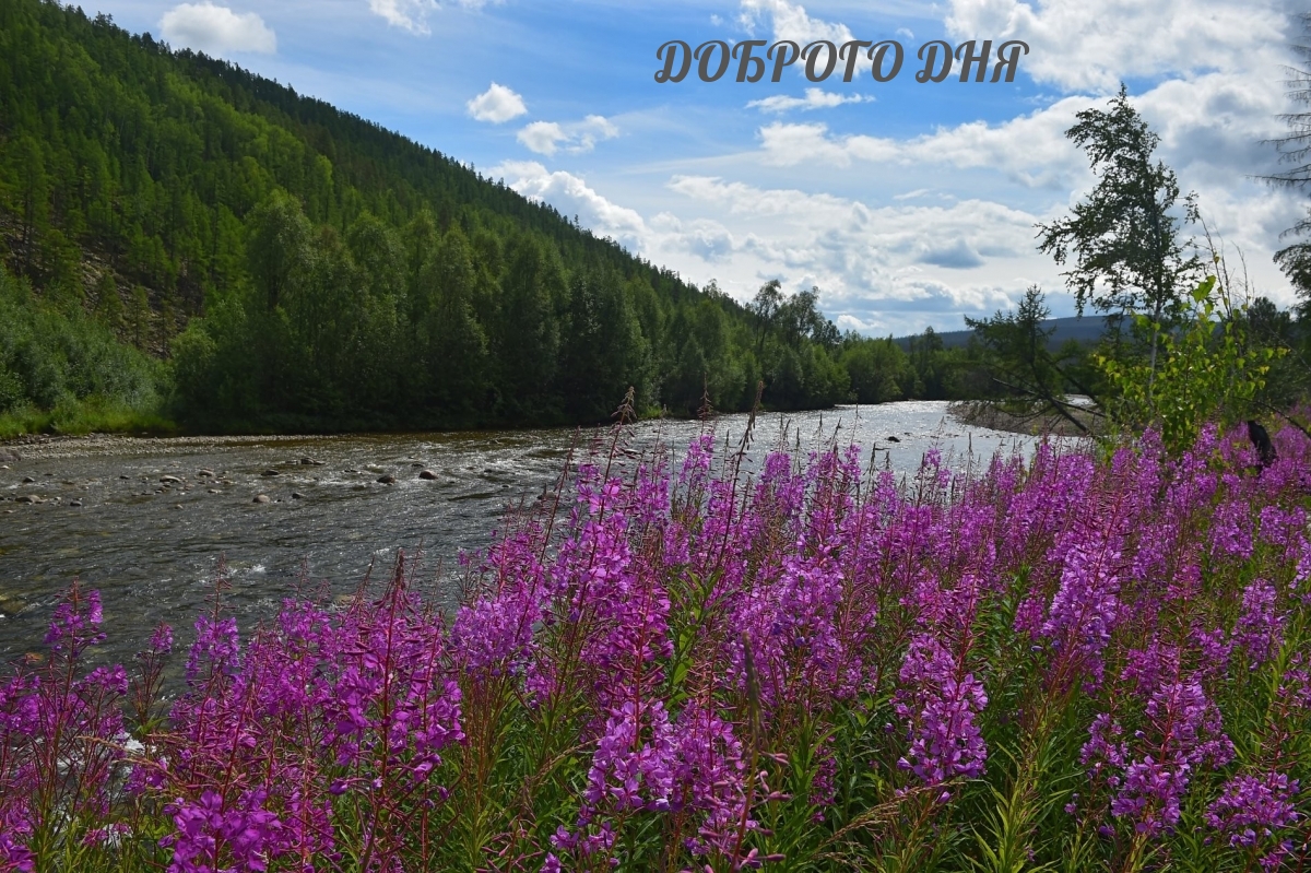 Доброго дня