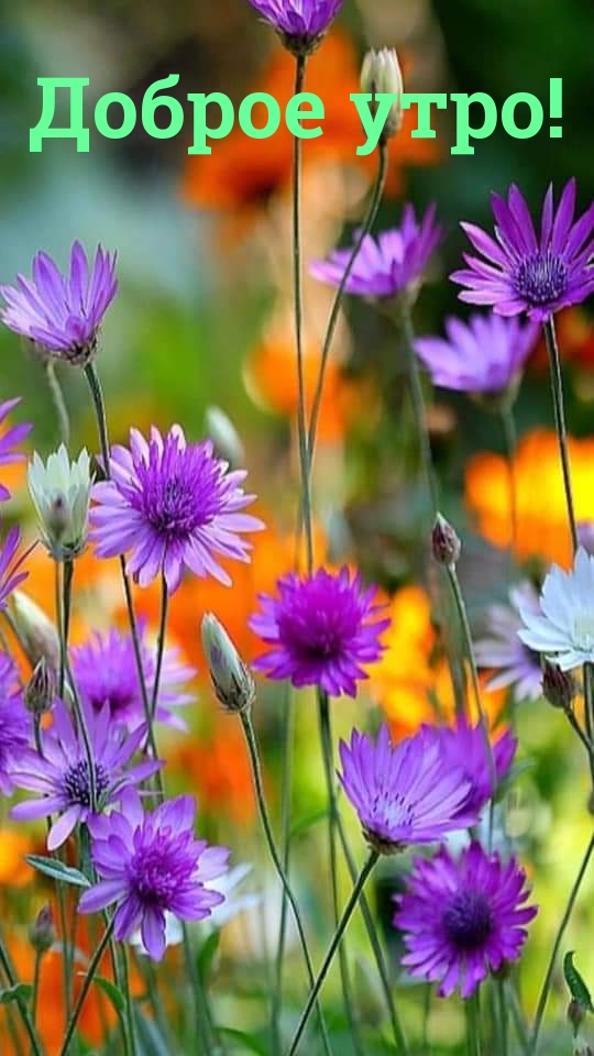 Доброе утро!