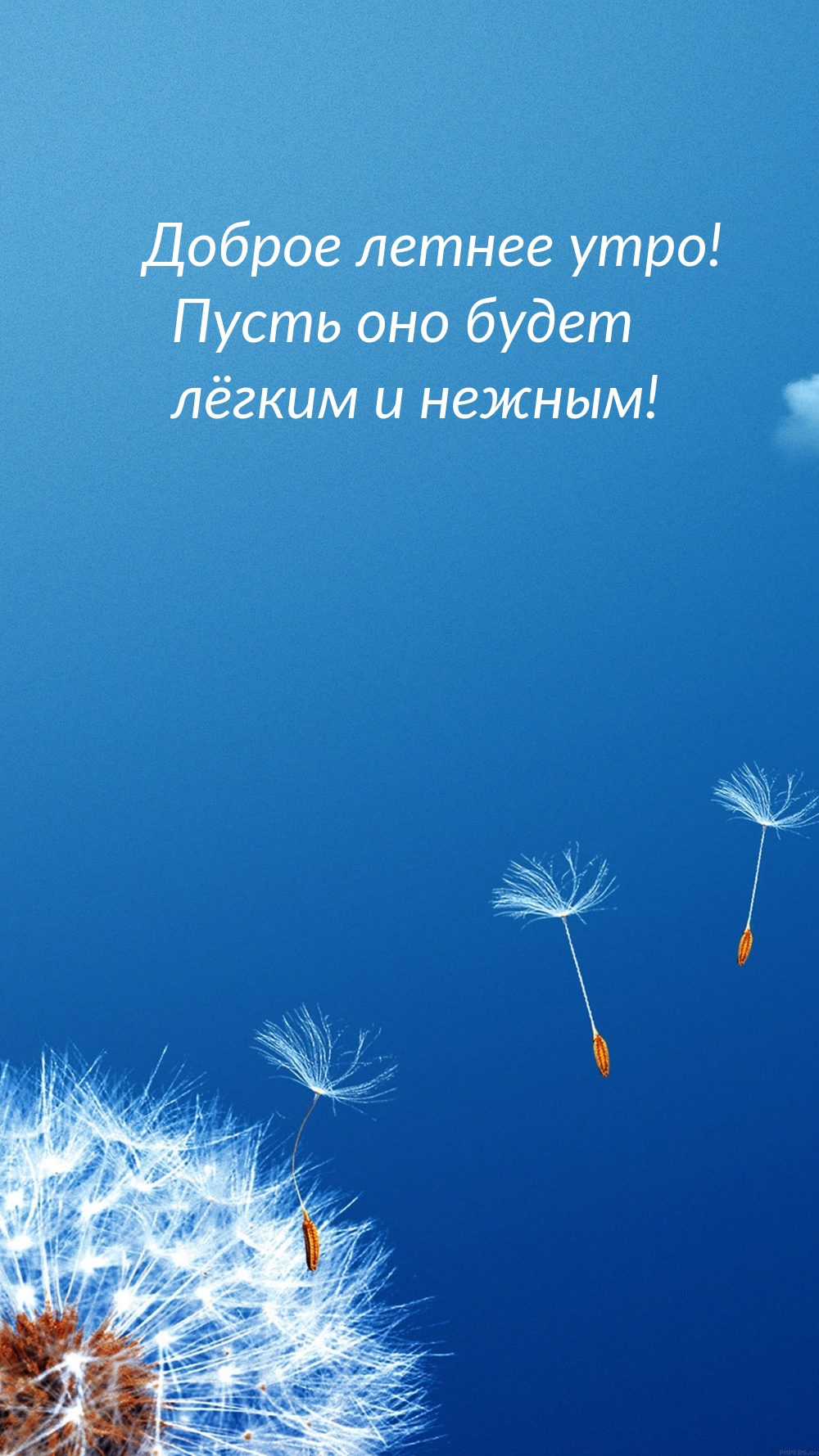 Доброе летнее утро! Пусть оно будет лёгким и нежным!