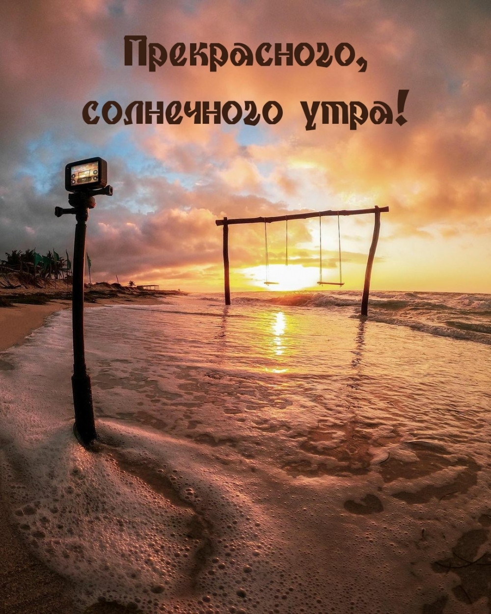 Прекрасного, солнечного утра!