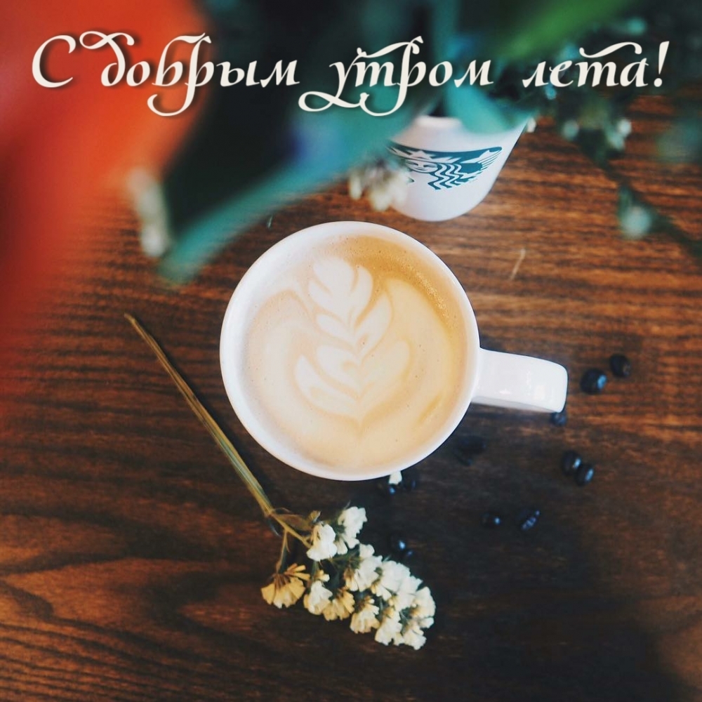 С добрым утром лета!