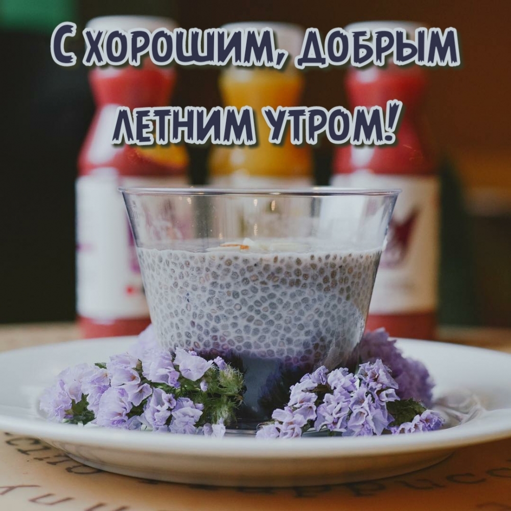 С хорошим, добрым летним утром!
