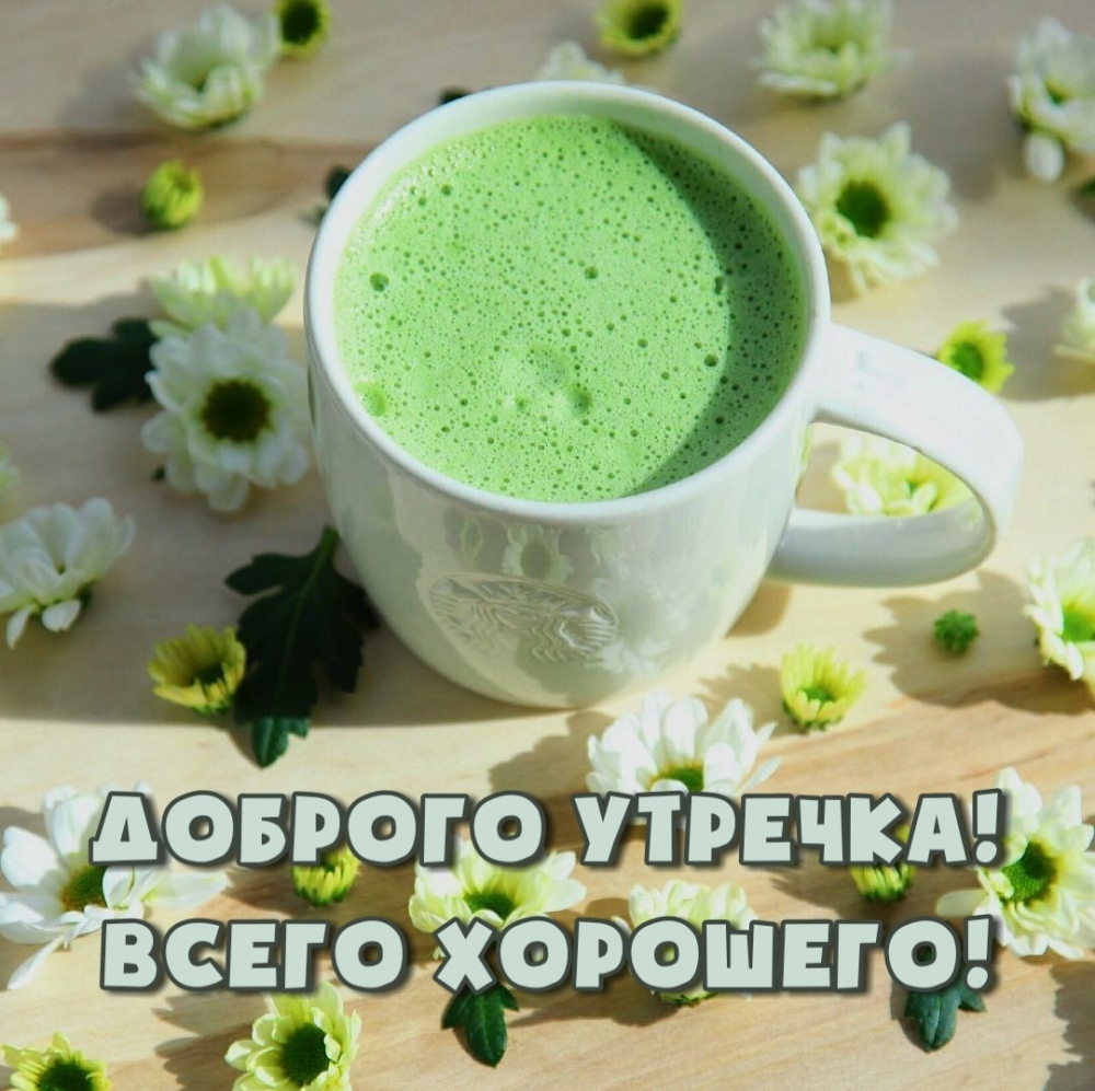 Доброго утречка! Всего хорошего!