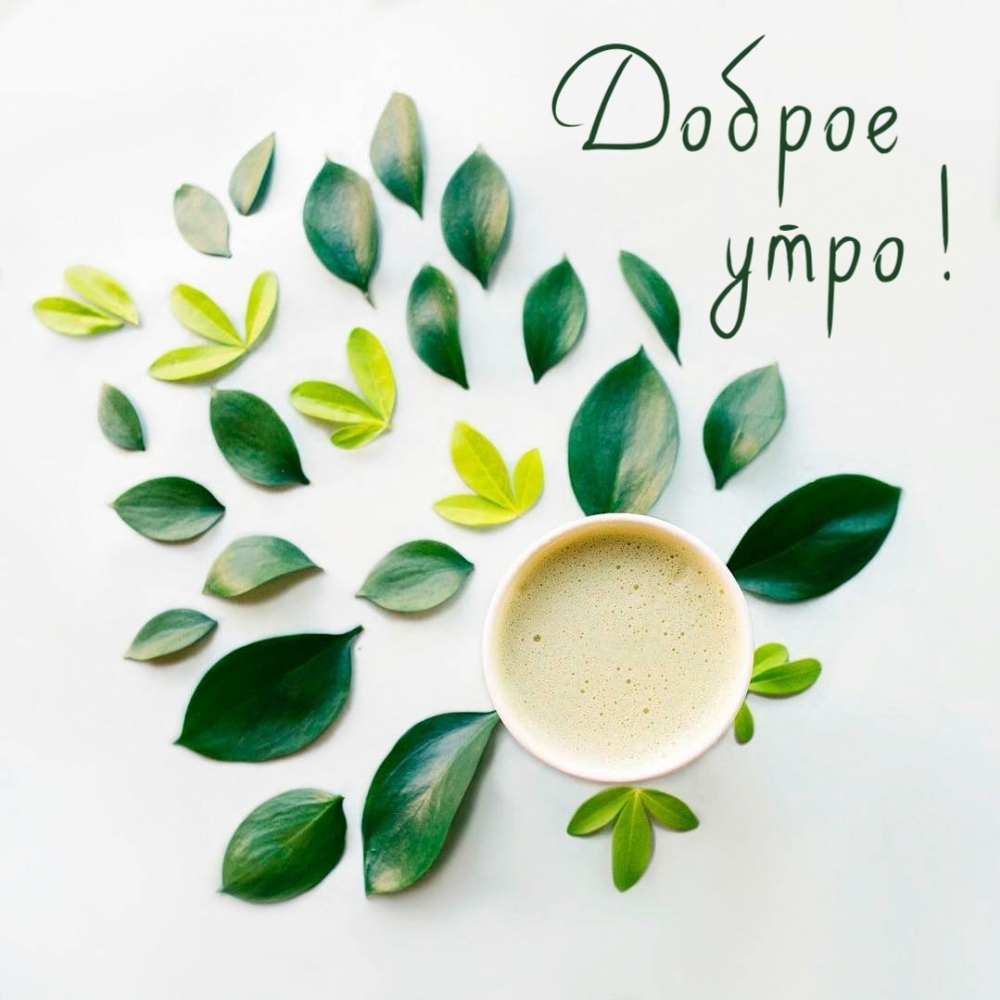 Доброе утро!