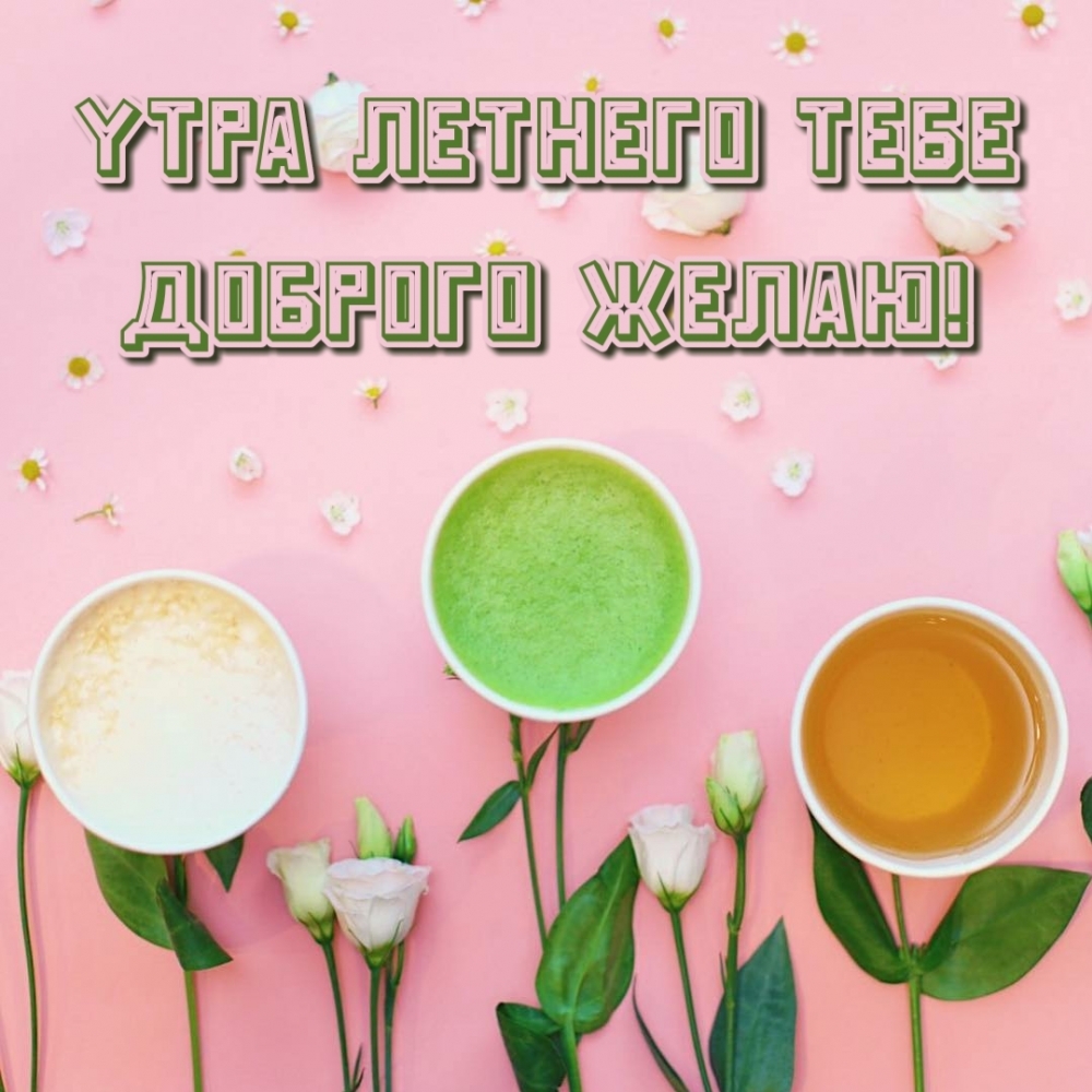 Утра летнего тебе доброго желаю!