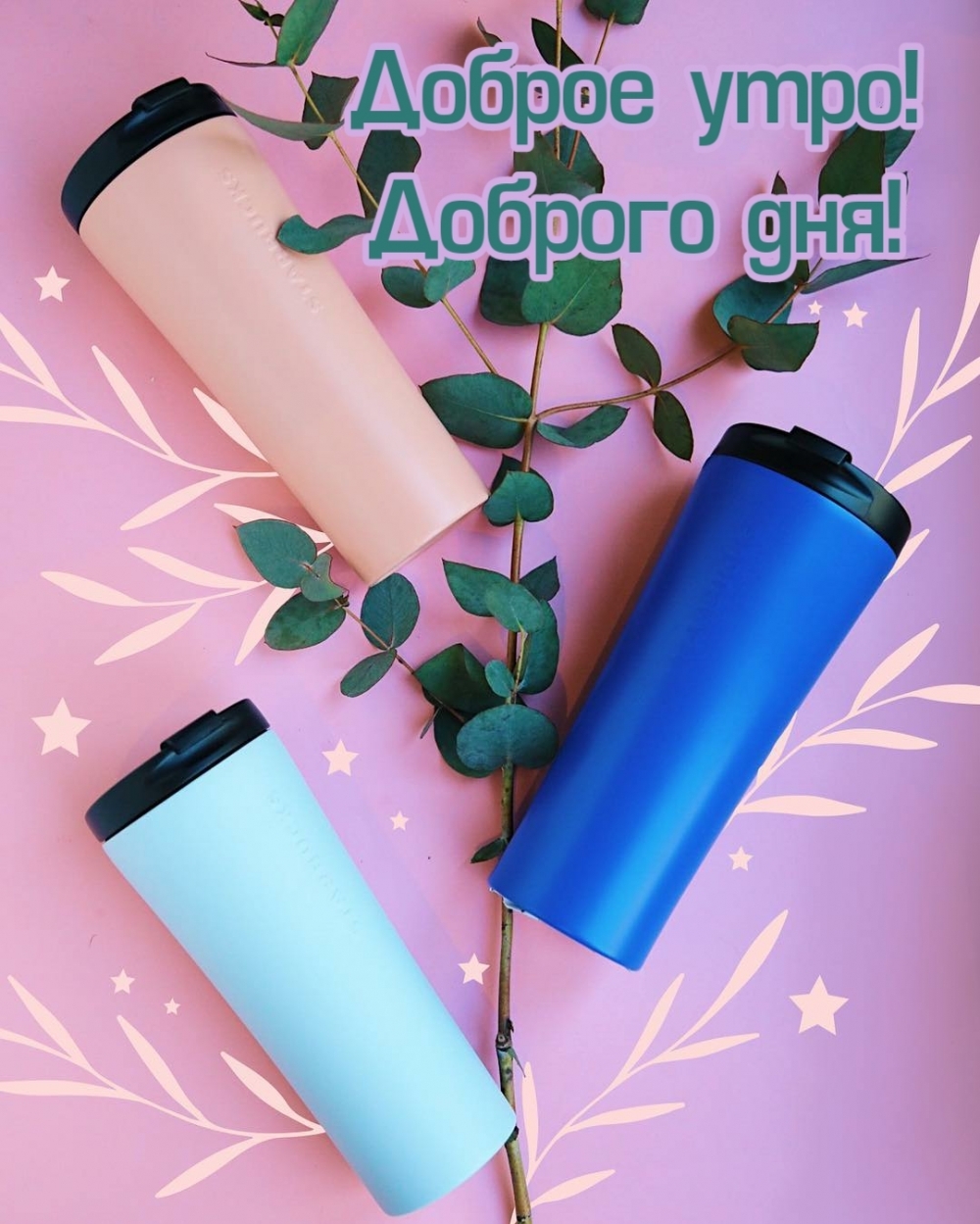 Доброе утро! Доброго дня!