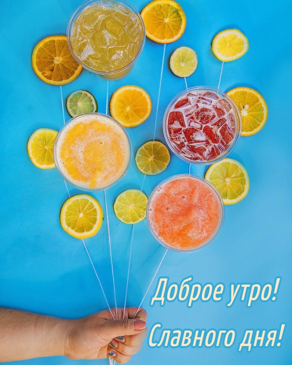 Доброе утро! Славного дня!