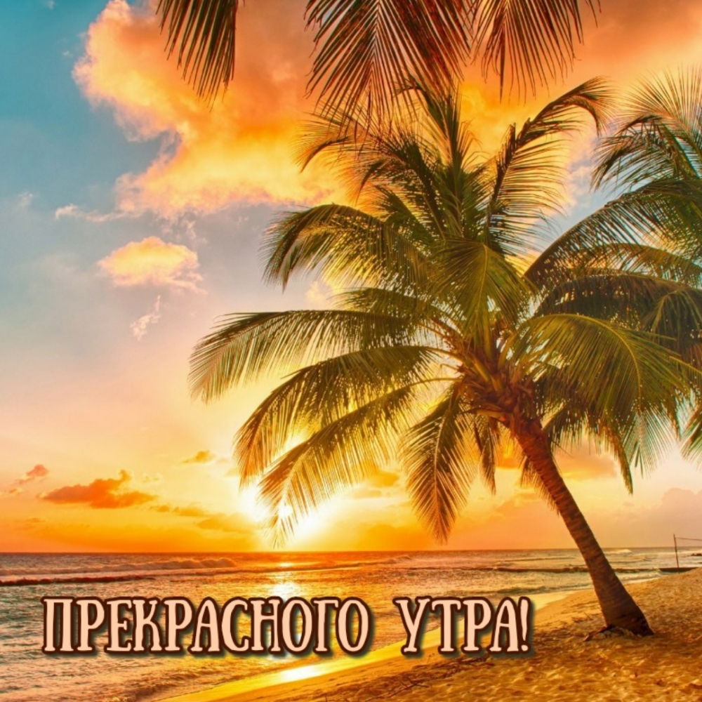 Прекрасного утра!