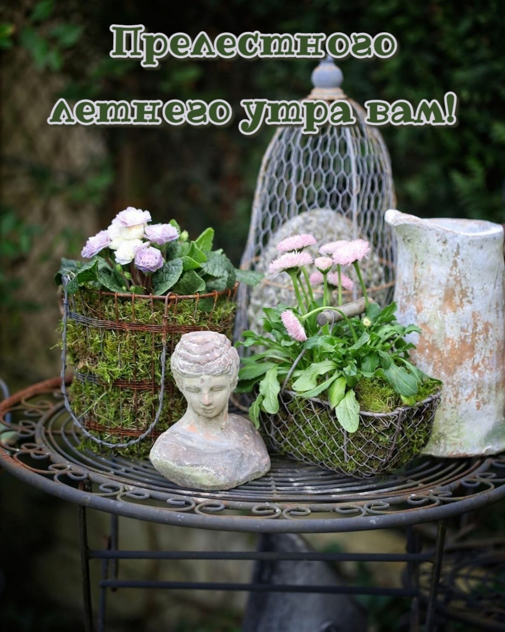 Прелестного летнего утра вам!