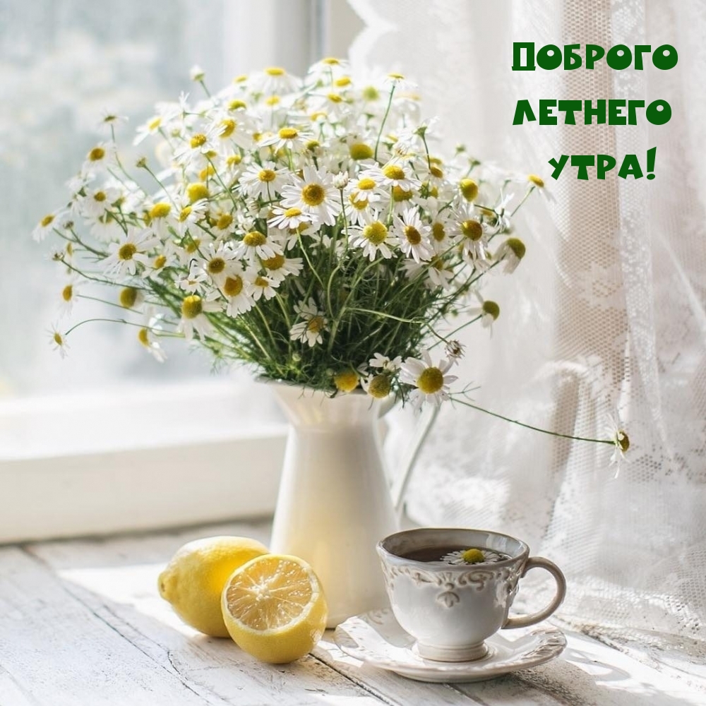 Доброго летнего утра!
