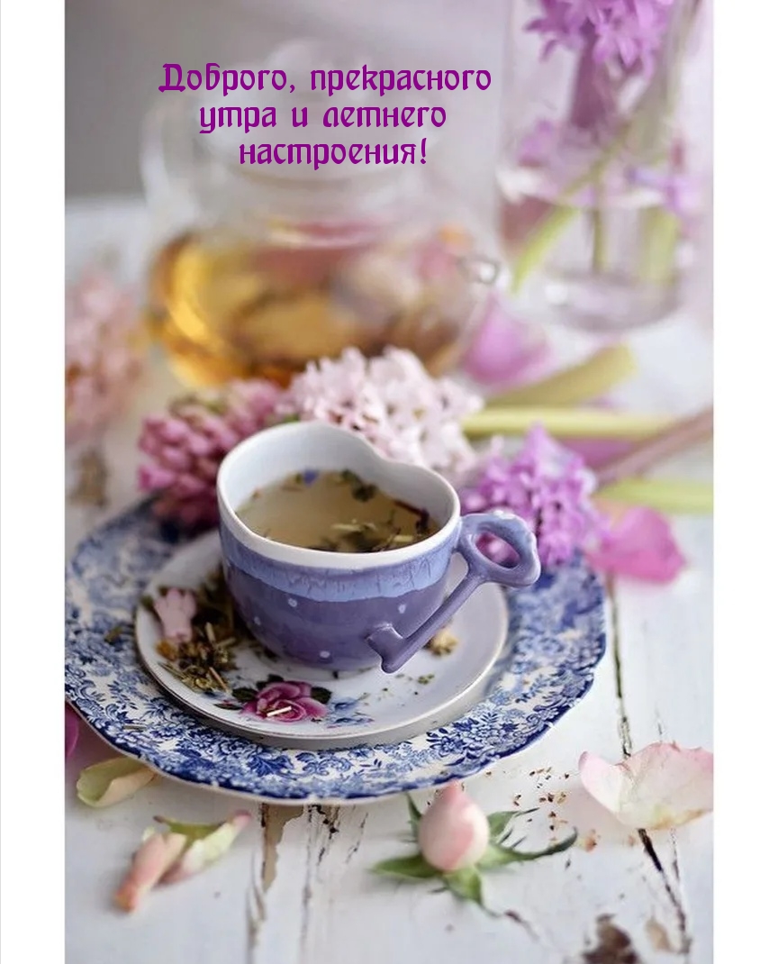 Доброго, прекрасного утра и летнего настроения!