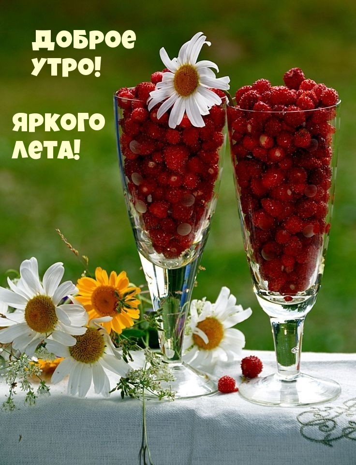 Доброе утро! Яркого лета!