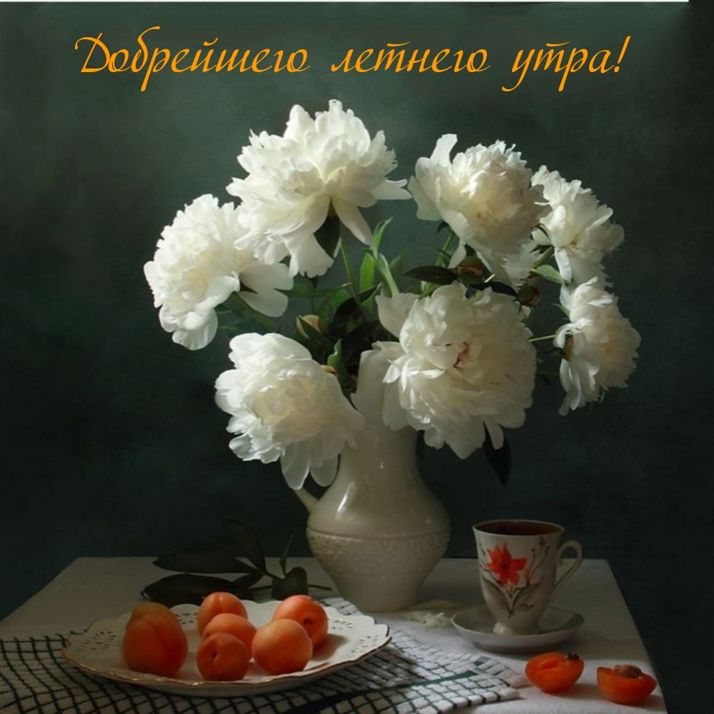 Добрейшего летнего утра!