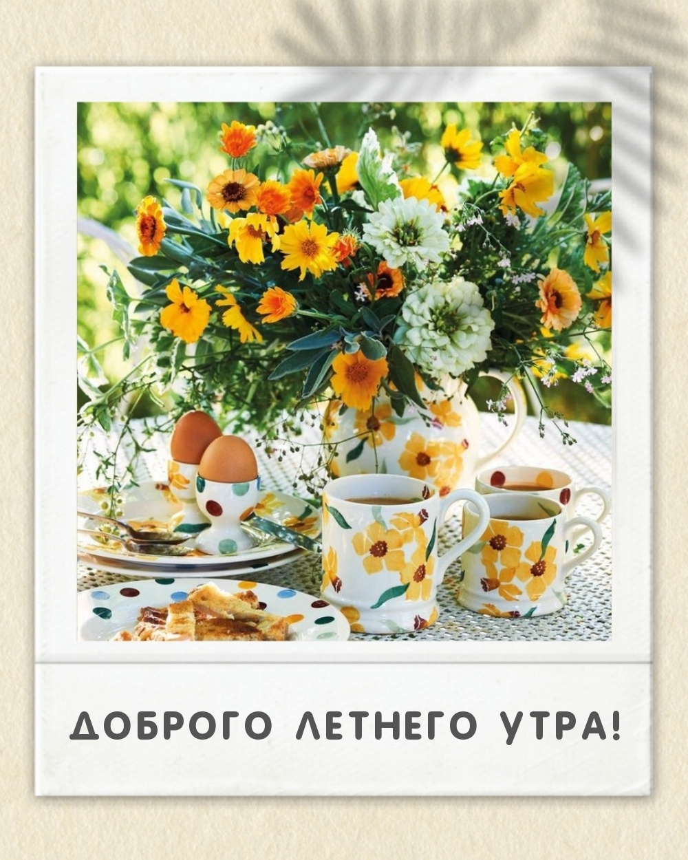 Доброго летнего утра!