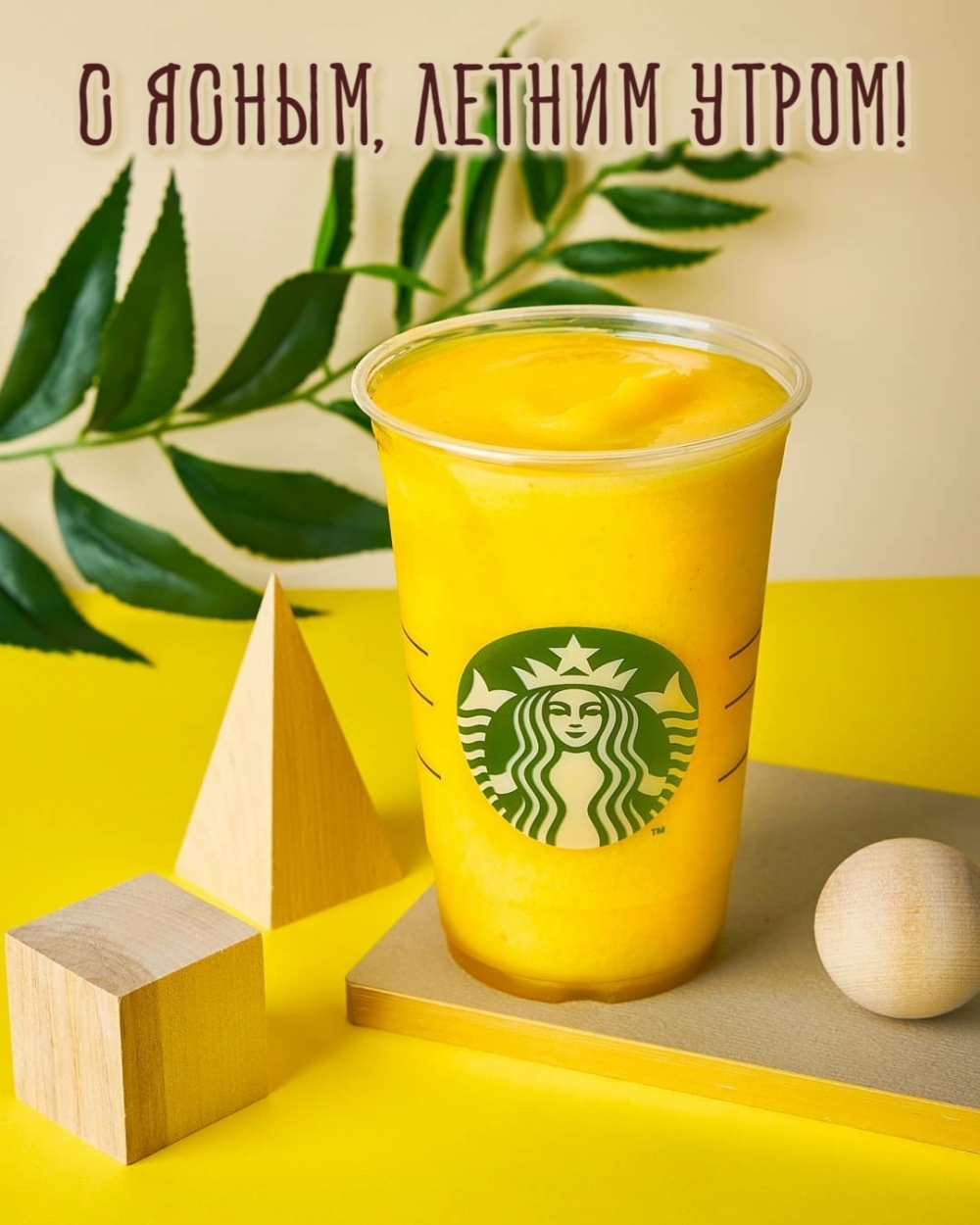 С ясным, летним утром!