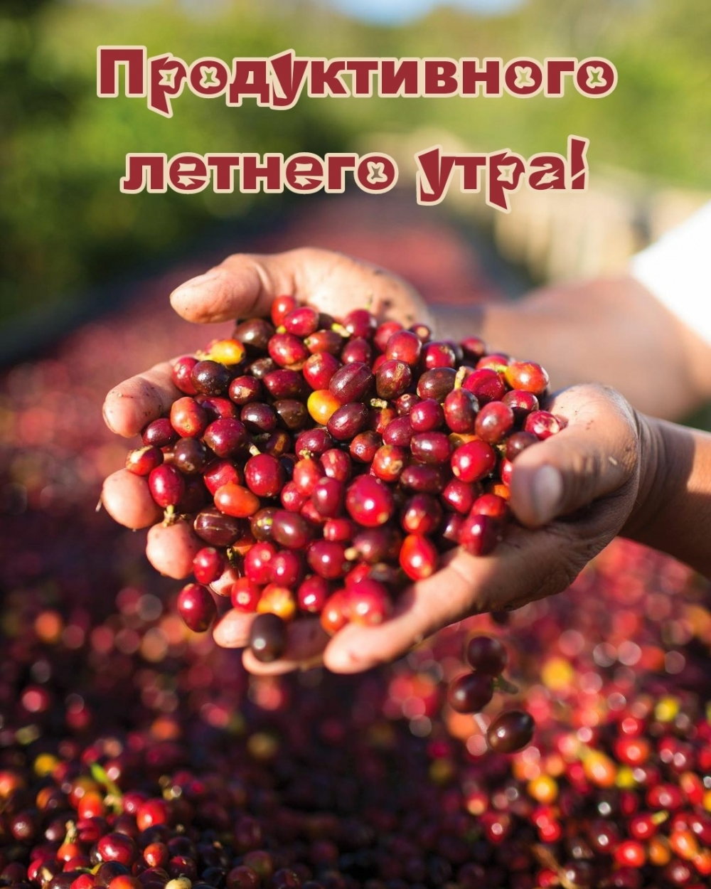 Продуктивного летнего утра!