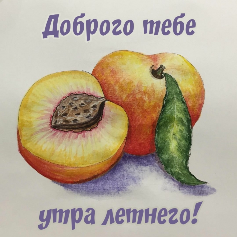 Доброго тебе утра летнего!