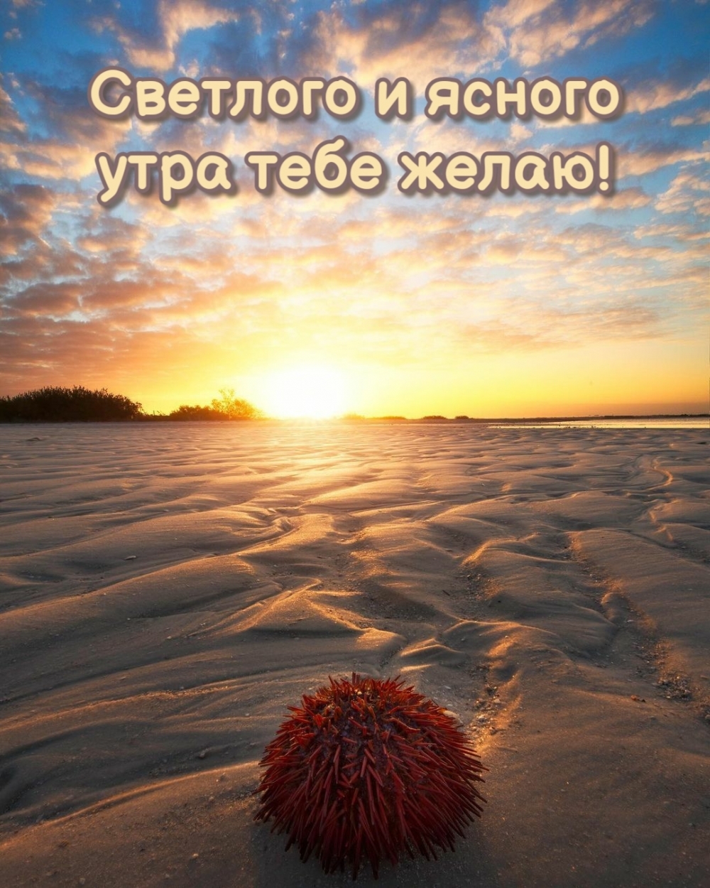 Светлого и ясного утра тебе желаю!