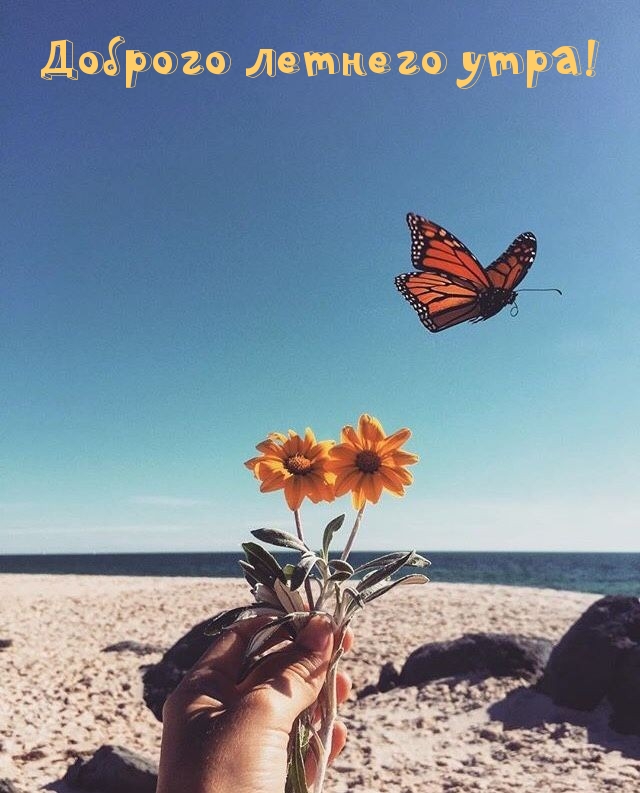 Доброго летнего утра!