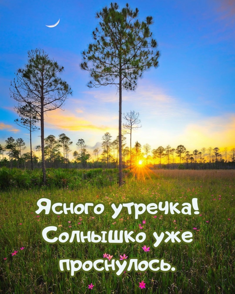 Ясного утречка! Солнышко уже проснулось.