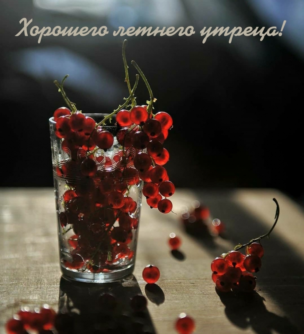 Хорошего летнего утреца!