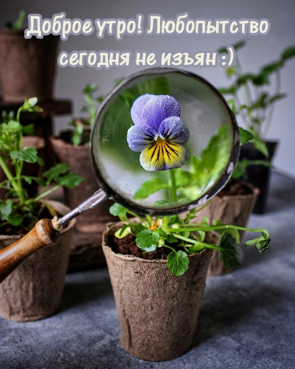 Доброе утро! Любопытство сегодня не изъян :)
